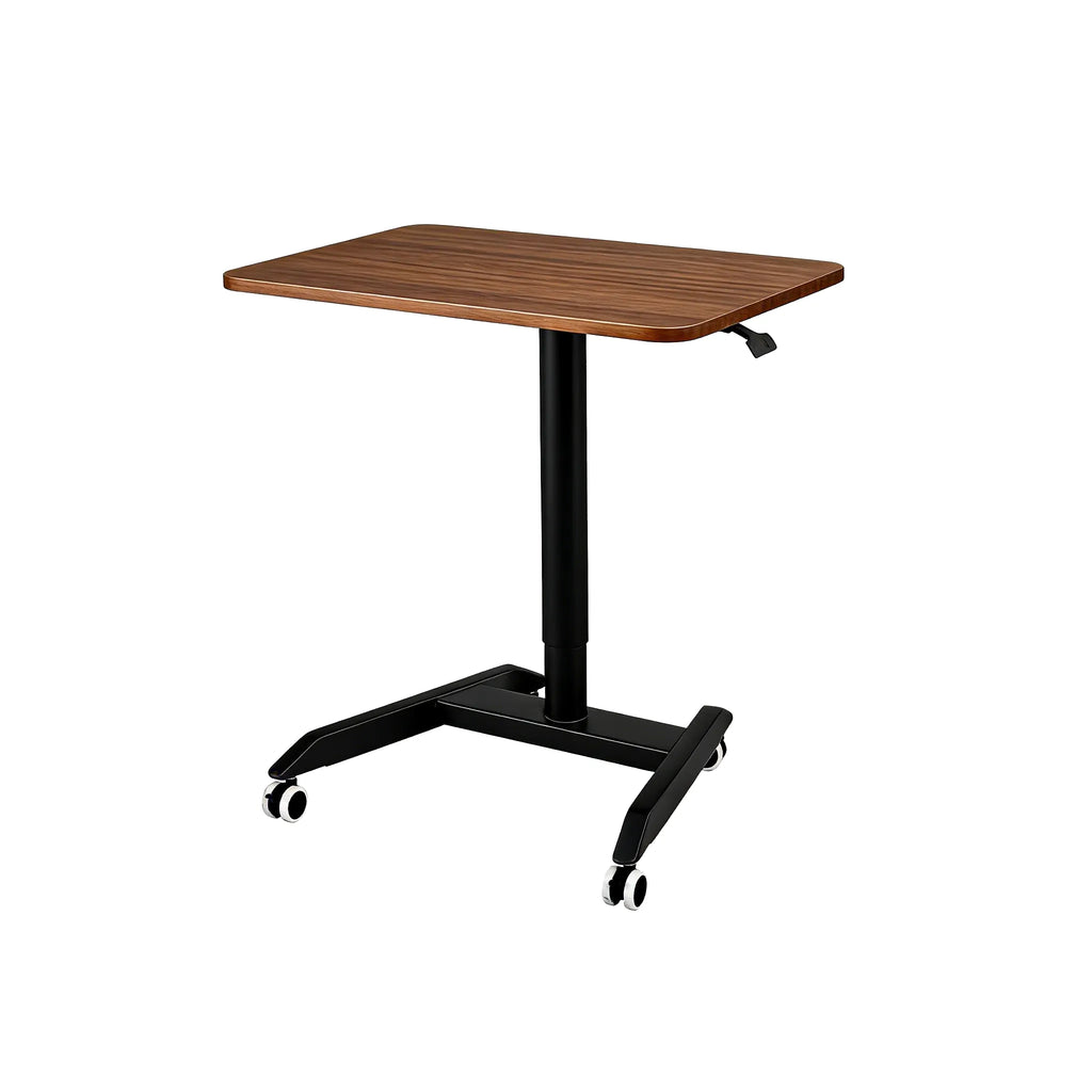 Mobile Standing Desk-FT002