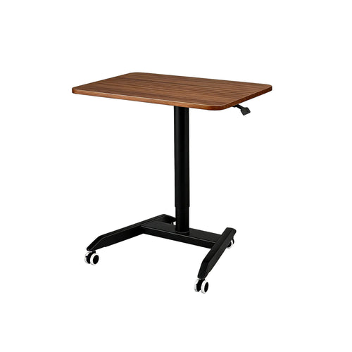 Mobile Standing Desk-FT002