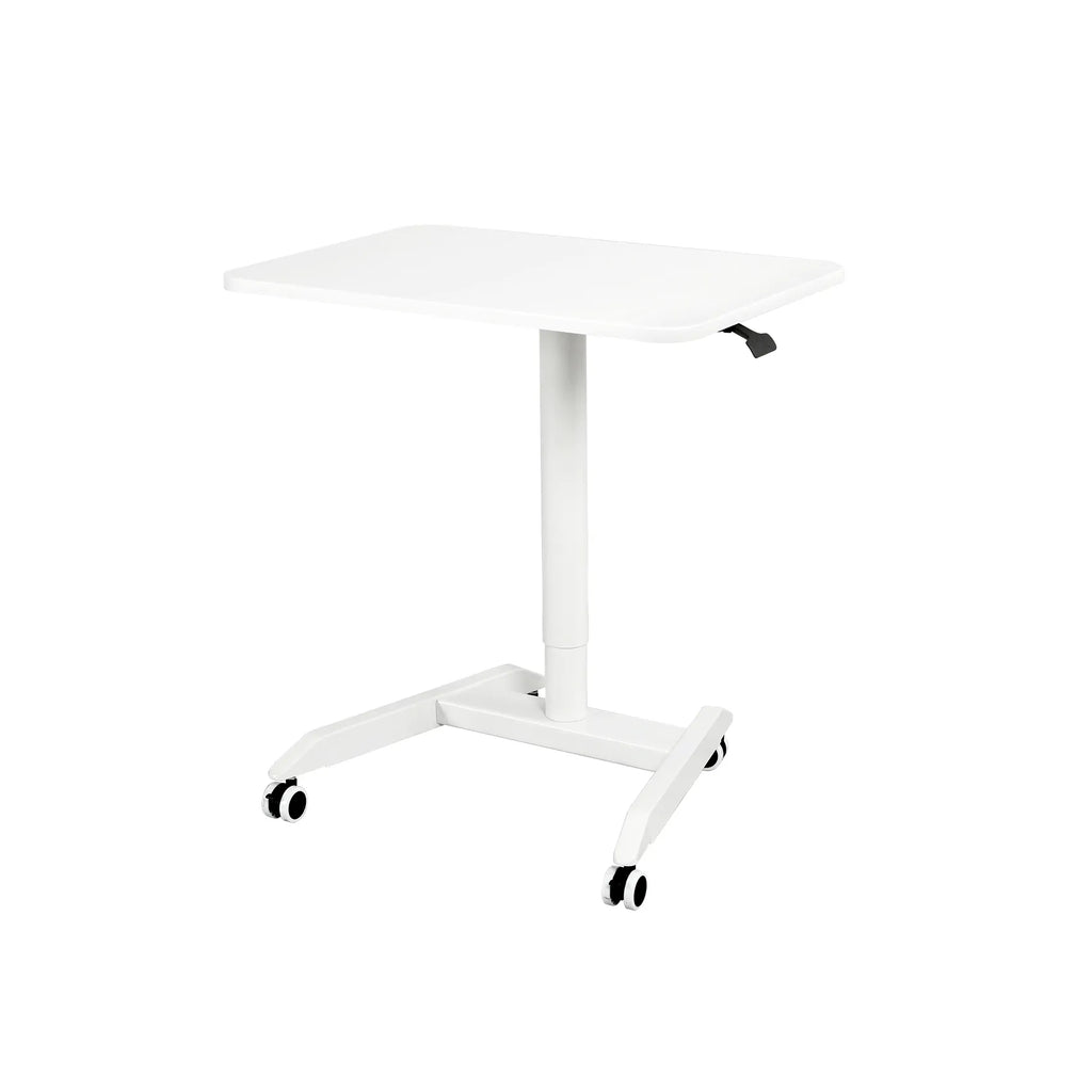 Mobile Standing Desk-FT002