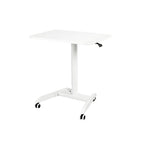 Mobile Standing Desk-FT002