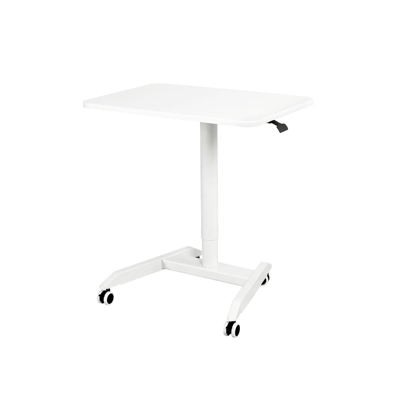 Mobile Standing Desk-FT002